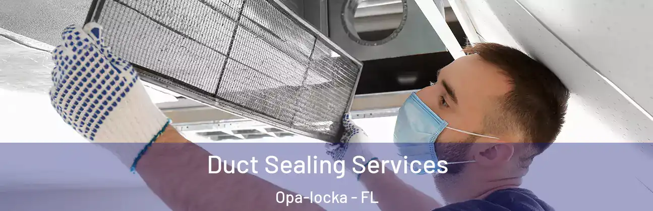  Duct Sealing Services Opa-locka - FL