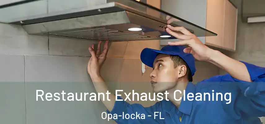  Restaurant Exhaust Cleaning Opa-locka - FL