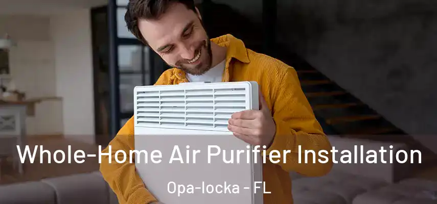  Whole-Home Air Purifier Installation Opa-locka - FL
